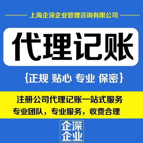 專業(yè)嘉定區(qū)財務(wù)代理與商務(wù)代理代辦服務(wù)助力企業(yè)發(fā)展